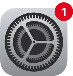 Apple settings icon